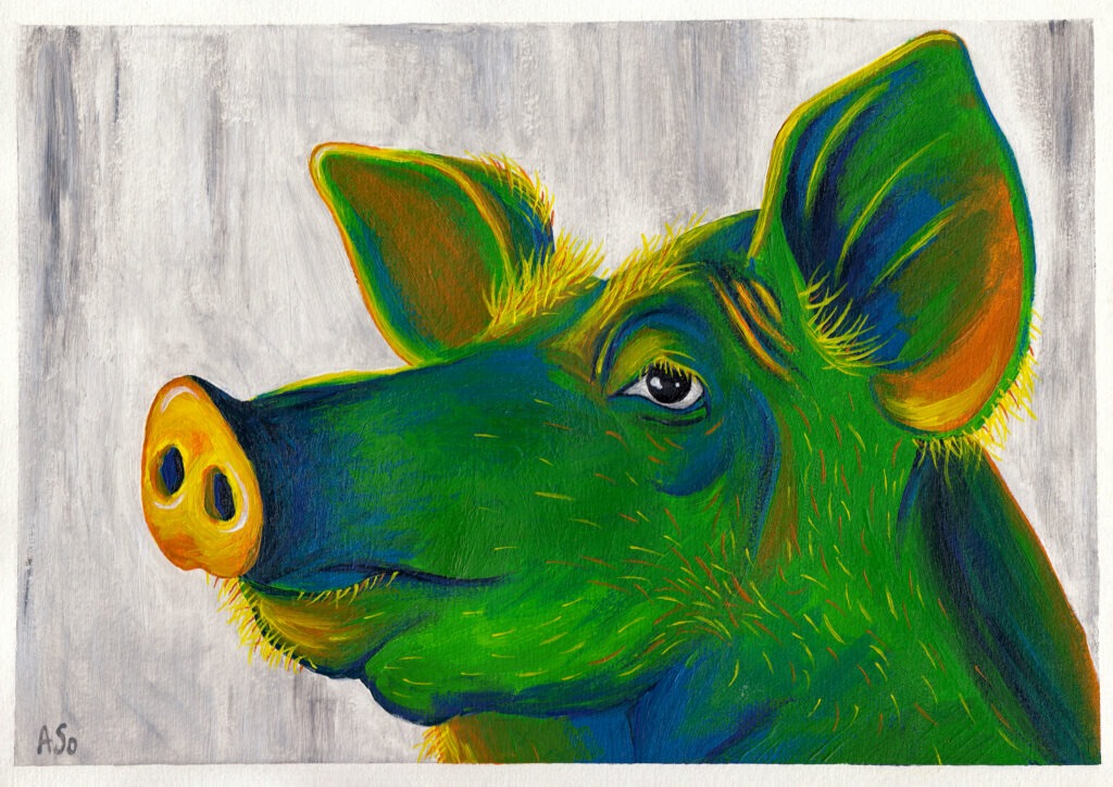 Farbenfrohes Portrait eines Schweins vor grauem Hintergrund.
